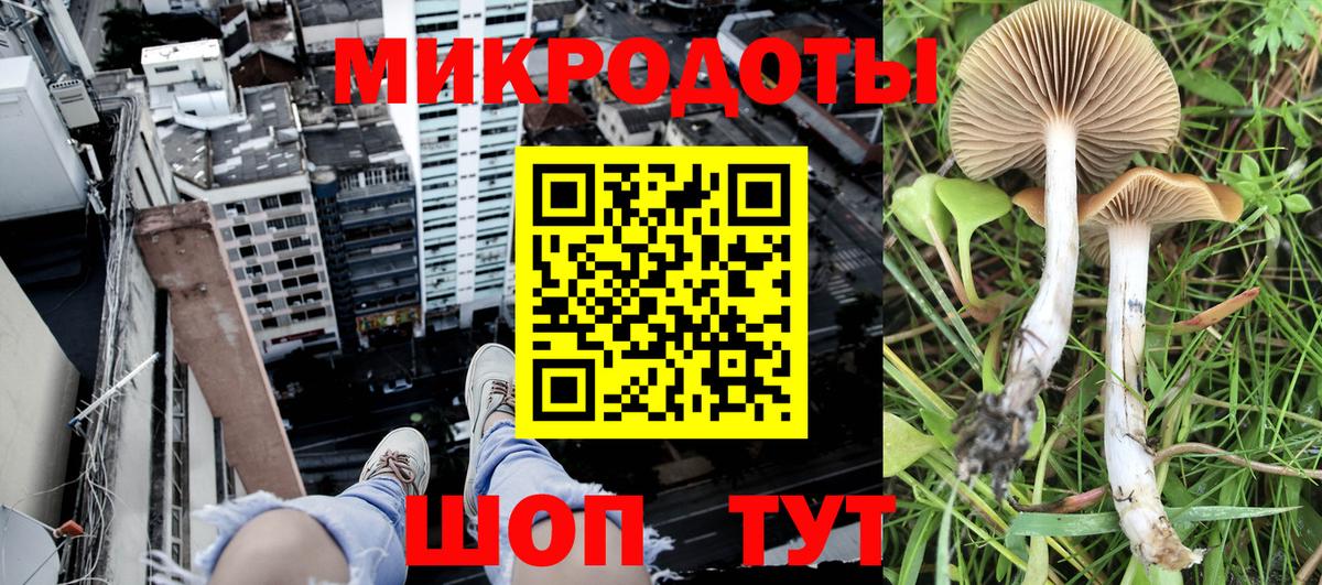 наркошоп  Псилоцибиновые грибы Magic Shrooms  Псилоцибиновые грибы Magic Shrooms  Вход с VPN  Урус-Мартан 