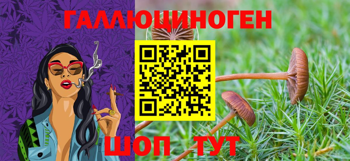 Магазин наркотиков  Гашиш  Урус-Мартан  ЭКСТАЗИ  Канабис  Меф   Вход с VPN  Кокаин  МЕФ 