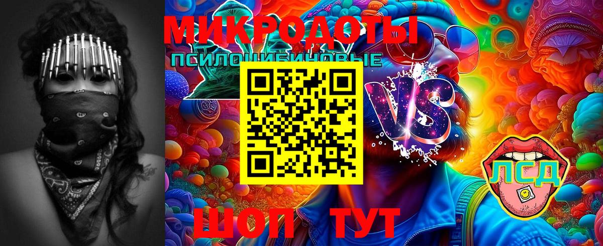 Псилоцибиновые грибы Psilocybine cubensis Урус-Мартан